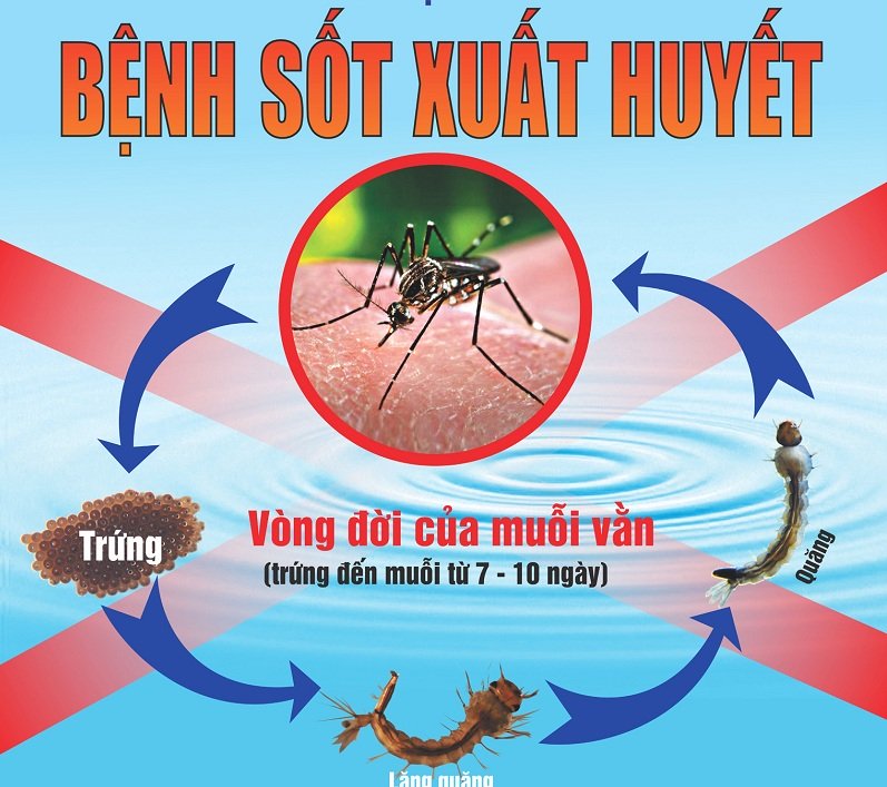 benh sot xuat huyet